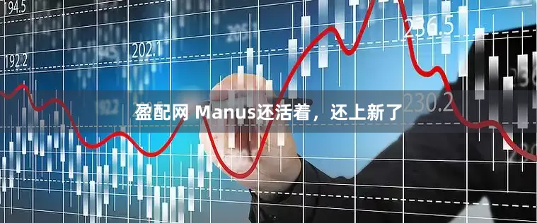 盈配网 Manus还活着，还上新了