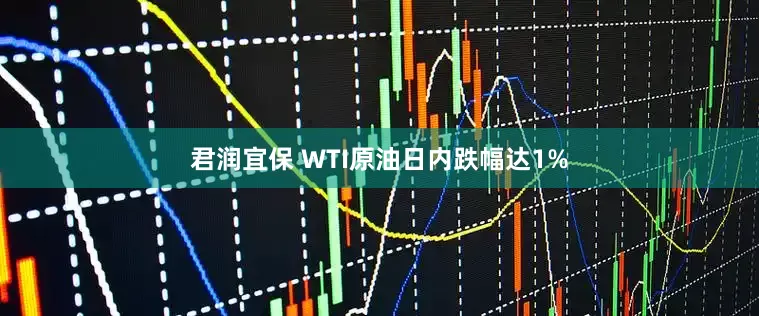君润宜保 WTI原油日内跌幅达1%