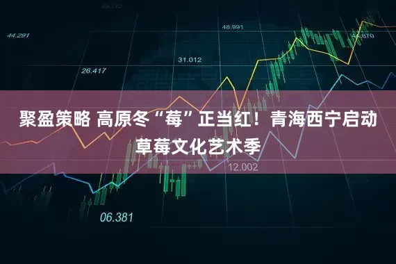 聚盈策略 高原冬“莓”正当红！青海西宁启动草莓文化艺术季